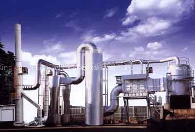 Medical Waste Incinerator (DH-Y1)