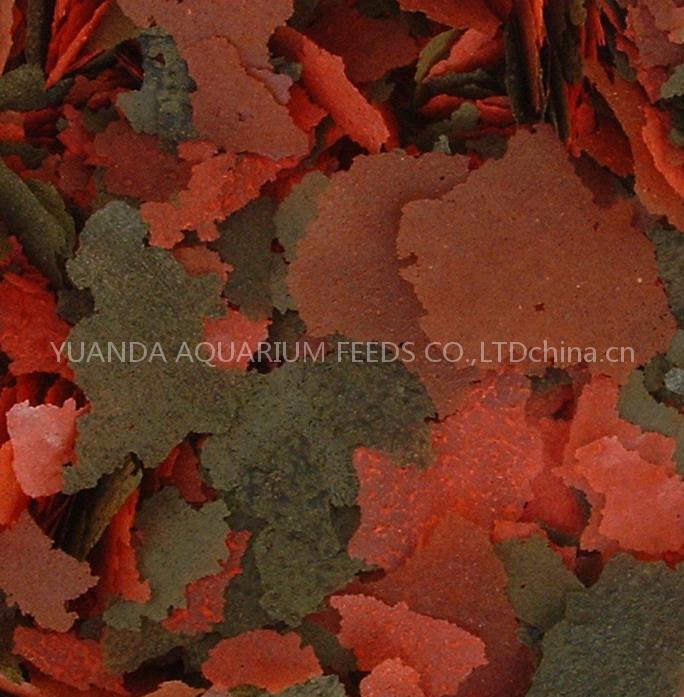 blood worms,gammarus