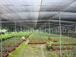 HDPE NET