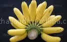 Fruit supplier fromThailand all season now on we have BANANA