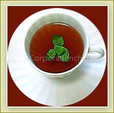 Moringa Tea for Sale
