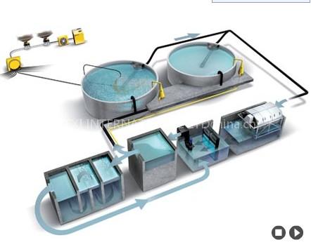 industrial fish farm