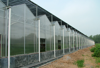 Polycarbonate sheet for Green house