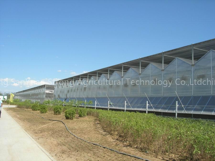 Polycarbonate panel gutter-connected greenhouse