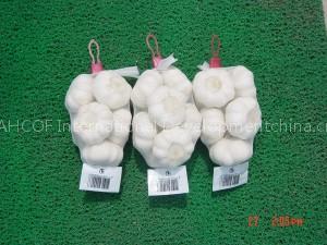 PURE WHITE GARLIC