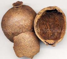 Pomegranate Rind P.E.