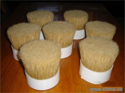 Boiled Bristles