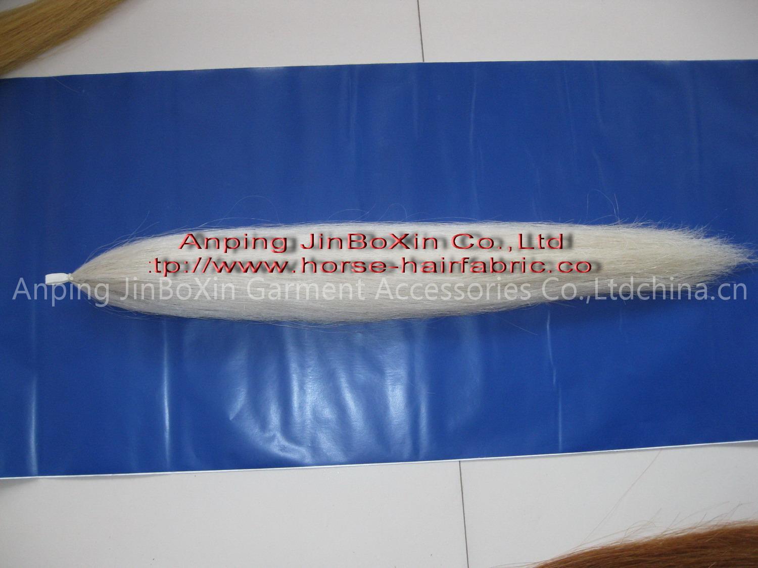 horse tail extension