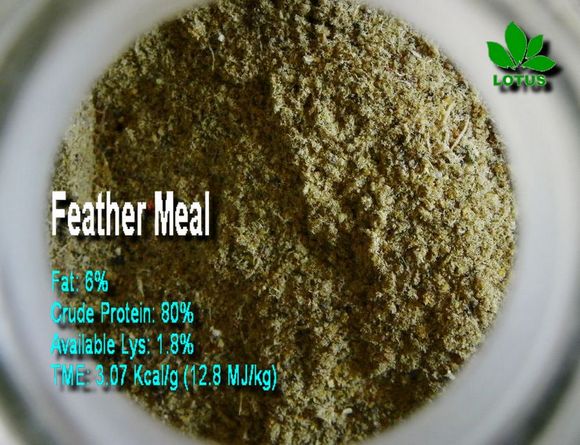 Dual-purpose Feather Meal