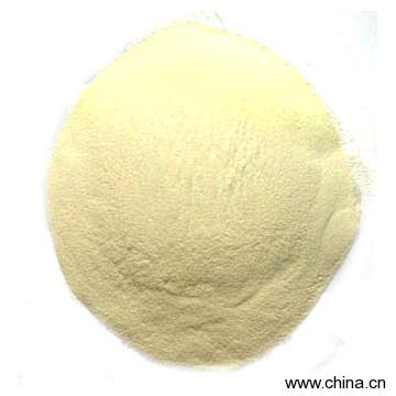 Xylanase