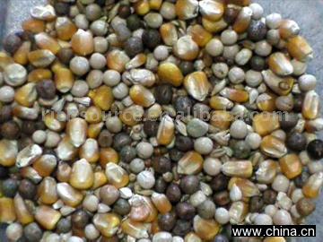 Pigeon Feed