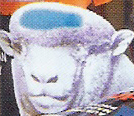 Australia Steadfast Livestock Marking Spray Cans