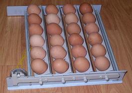 South Korea Egg Incubators