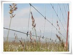 grassland fence