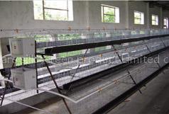 chicken cage