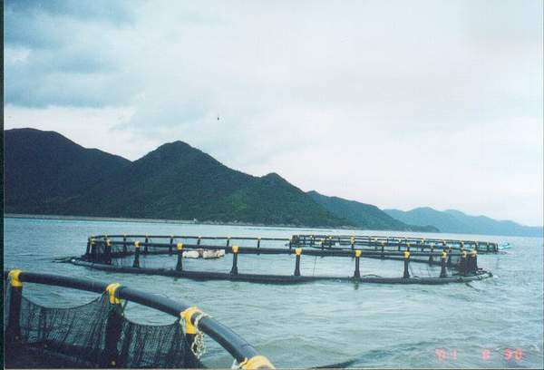 China (Mainland) Net Cage