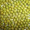 Green Mung Beans
