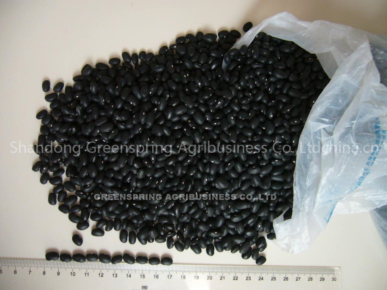 small black kidney beans