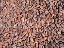 coffee beans for sale at good price