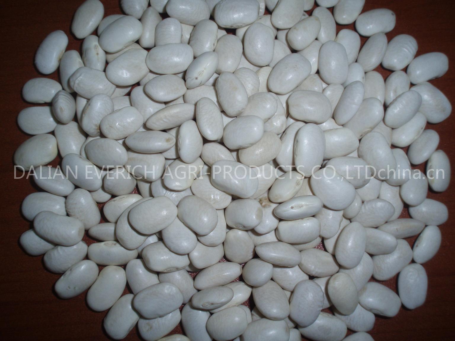 medium white kidney beans