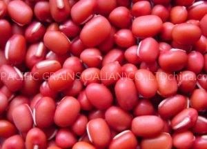 ORGANIC ADZUKI BEANS