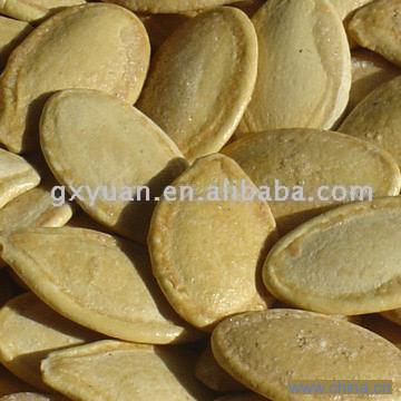 Roasted Pumpkin Seed