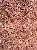 ARABICA AND ROBUSTA COFFEE