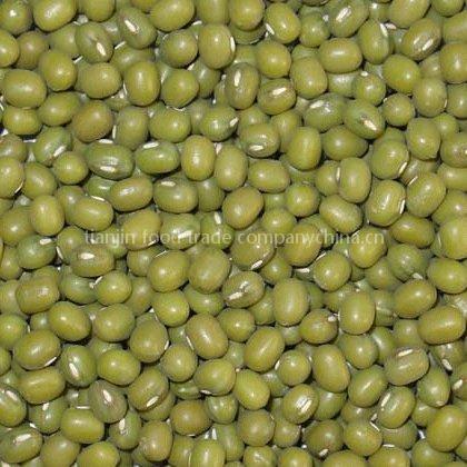 Green Mung Bean