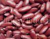 Red Kidney Beans