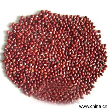 Red Small Bean