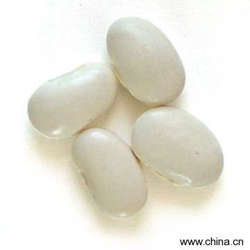 Large White Kidney Beans