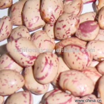 Light Speckled Kidney Beans