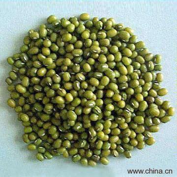 Mung Bean