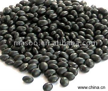 Black Bean