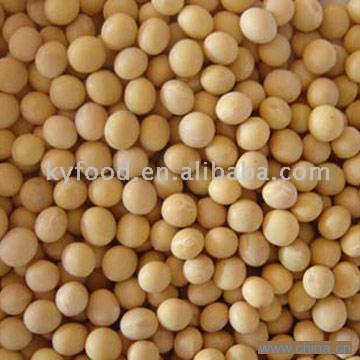 Soybeans