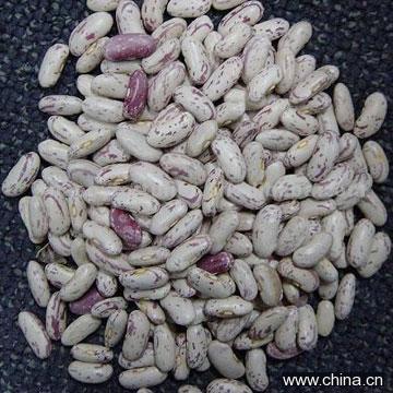 Beans