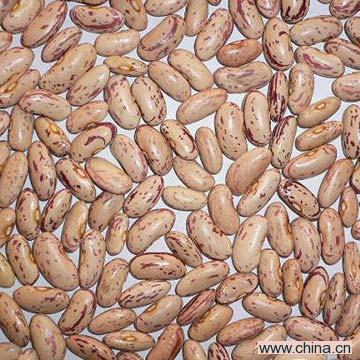 Light Speckled Kidney Bean