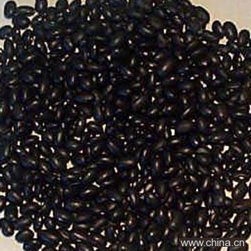 Black Beans