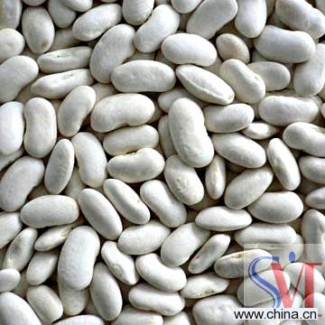 White Kidney Beans