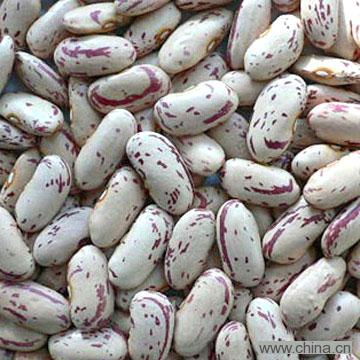 Light Speckle Kidney Beans
