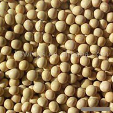 Soybeans