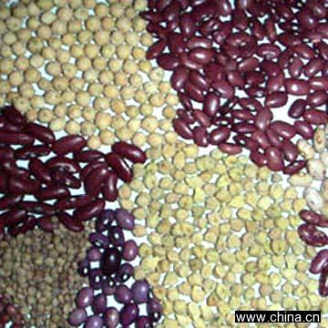 Pulses, Grains