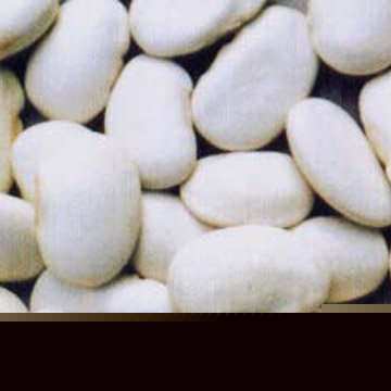 Large White Kidney Beans