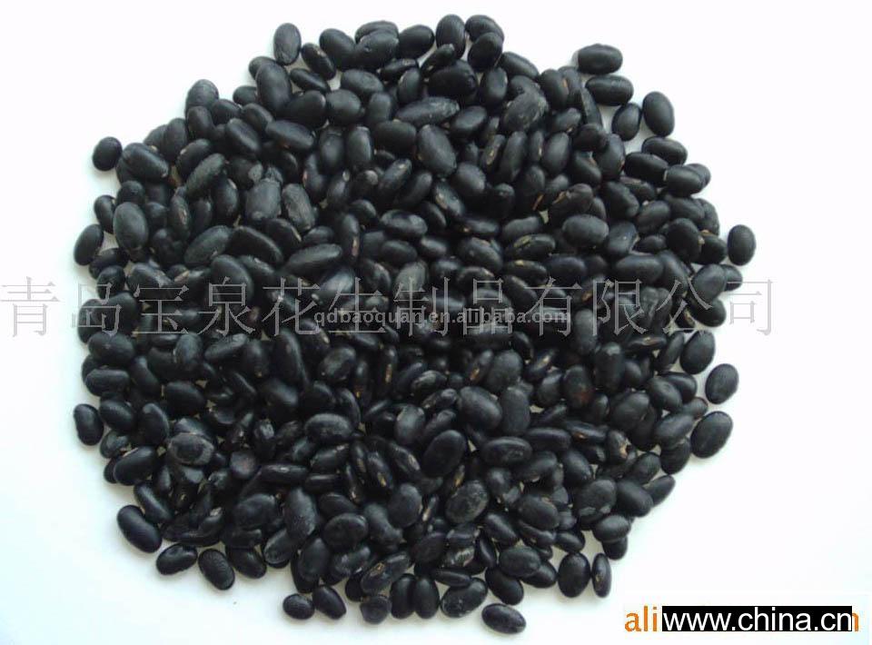 Black Bean