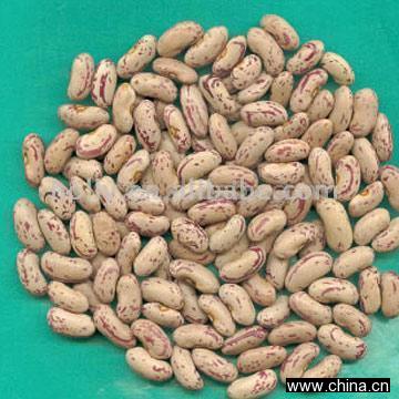 Light Speckled Kidney Beans