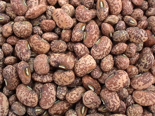 Cow Peas