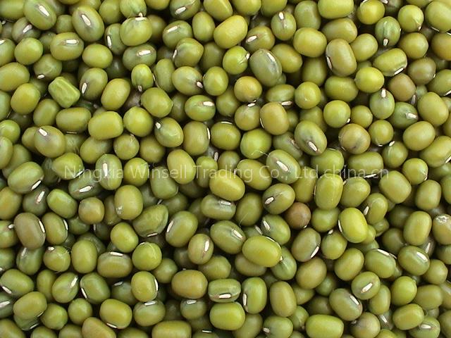 Green Beans