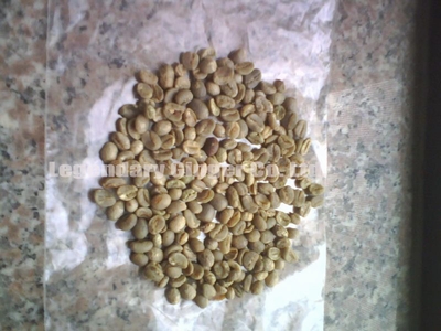 CHINA WASHED ARABICA COFFEE BEANS GRADE A