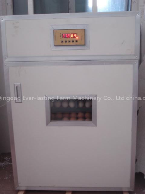 egg incubator