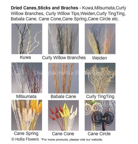 Dried Flowers-Dried Branches,Sticks,Canes